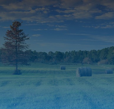 upper east texas region